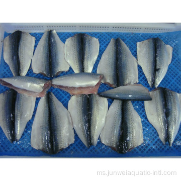 fillet rama-rama ikan tenggiri beku